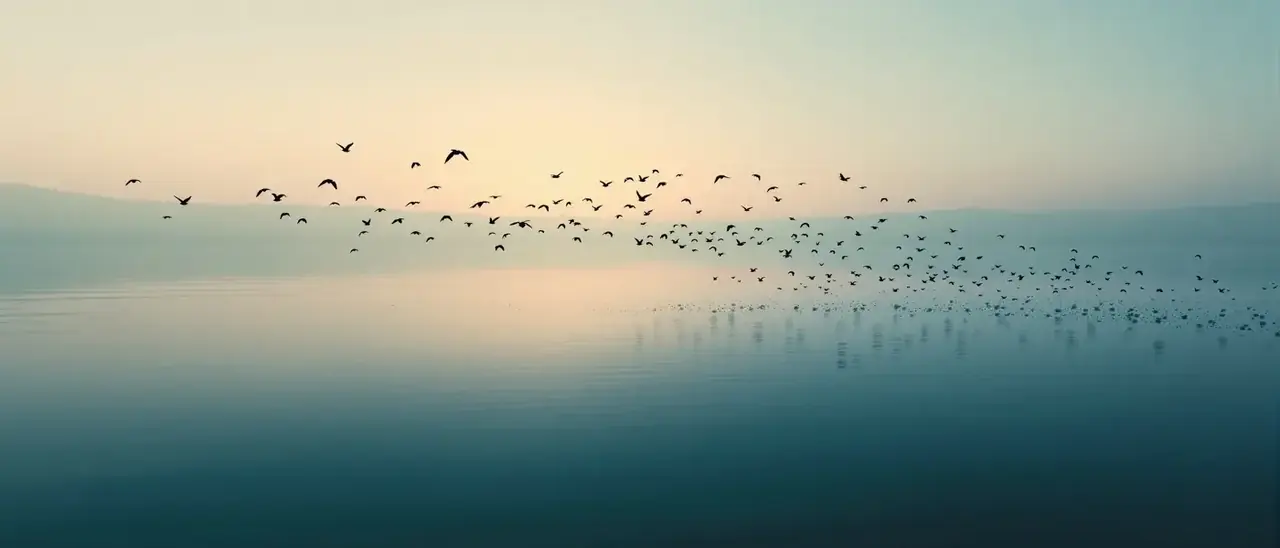 91视频观看应用下载背景